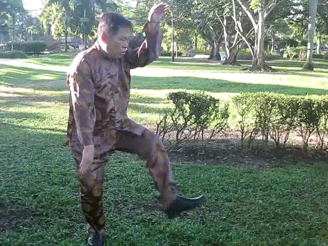 Sun Style Taijiquan